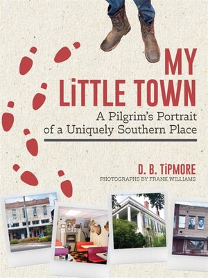 cover image of My Little Town
